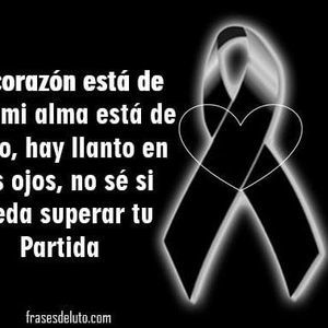 Meet your Posher, Maggie